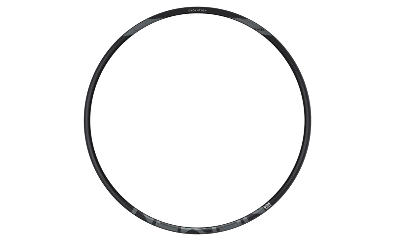 NEWMEN Rim Evolution SL X.A.25 29" 28h blk/gry